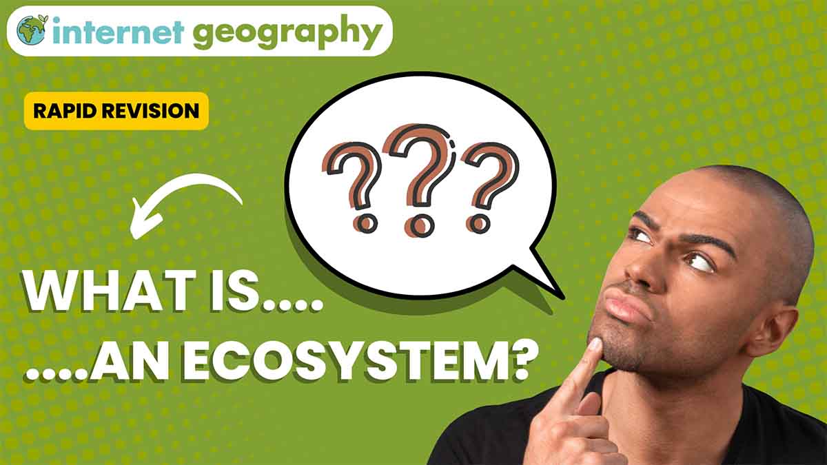 What is an ecosystem?