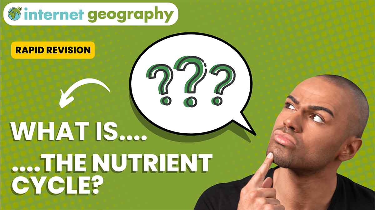 What is the nutrient cycle?