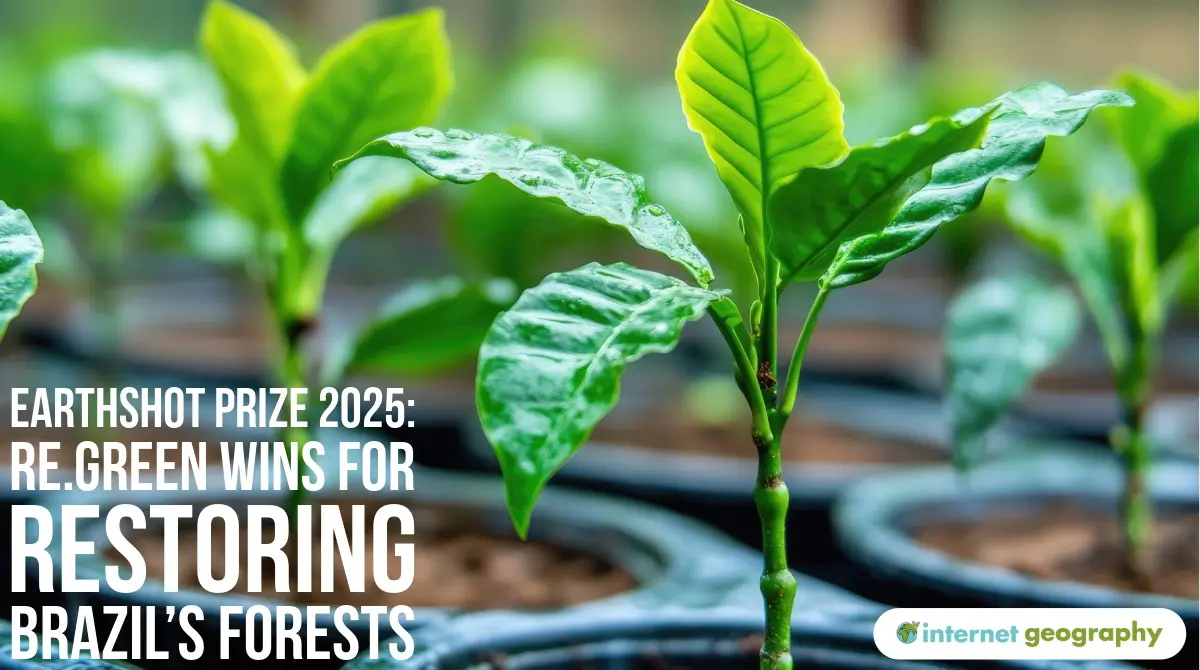 Earthshot Prize 2025 re.green Wins for Restoring Brazil’s Forests Earthshot Prize 2025: re.green Wins for Restoring Brazil’s Forests