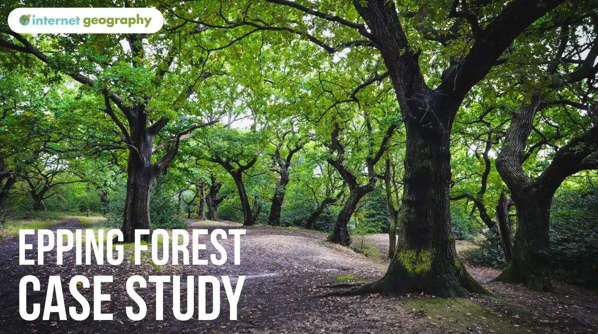 Epping Forest Case Study