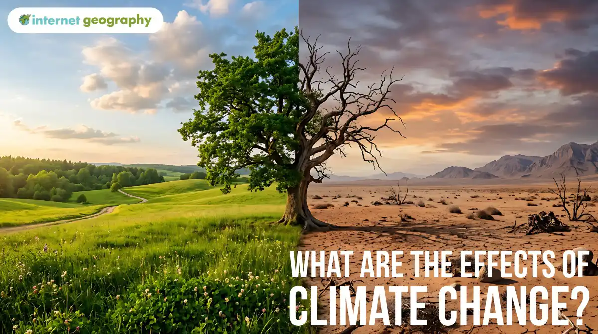 What are the effects of climate change?